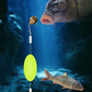 🎣⚡ Tuplakoukkuinen käänteinen pohjasiima! – Sano hyvästit ssnaggingille! 🎣