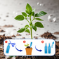 🌱Monikasvien nestemäinen elvyttäjä